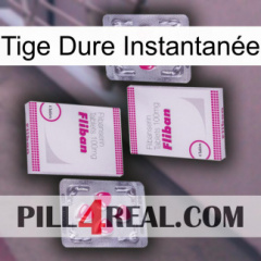 Tige Dure Instantanée 33